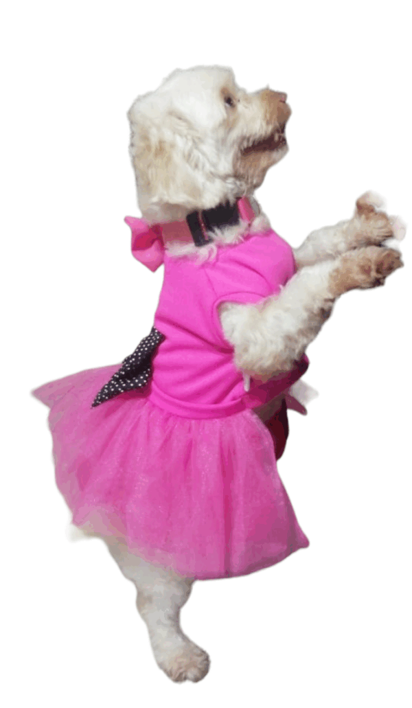 Vestido Básico con tutu - Image 4