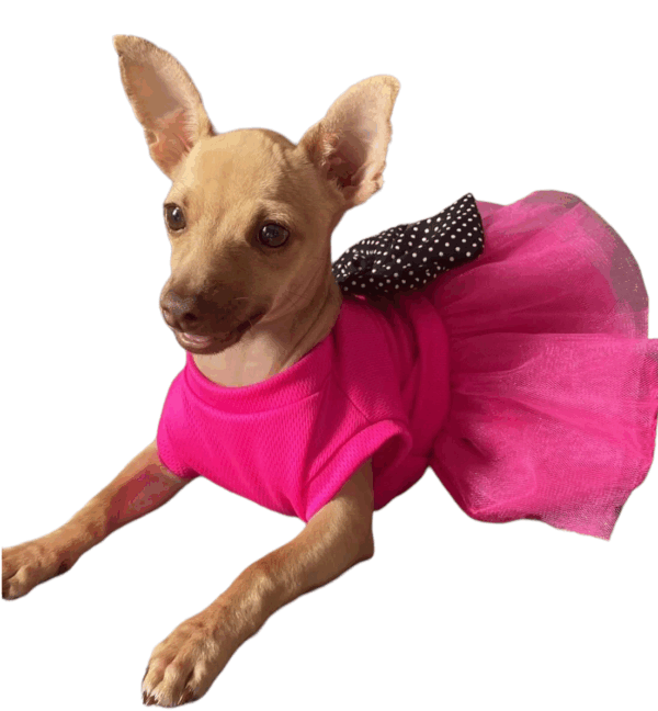 Vestido Básico con tutu - Image 3