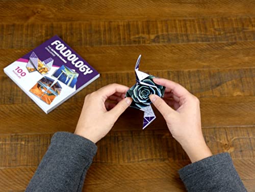 Foldology - Juego de rompecabezas de origami | Pruebas de ingenio prácticos para niños, adolescentes y adultos | 100 desafíos